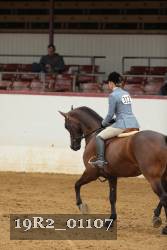 19R2_01107 thumbnail