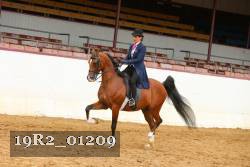 19R2_01209 thumbnail