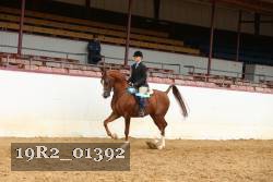 19R2_01392 thumbnail