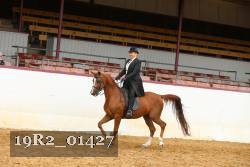 19R2_01427 thumbnail