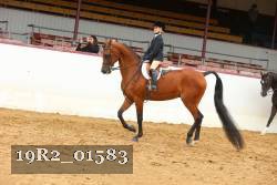 19R2_01583 thumbnail