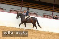 19R2_01585 thumbnail