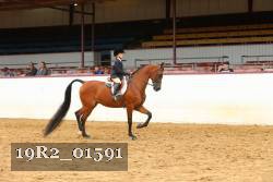 19R2_01591 thumbnail