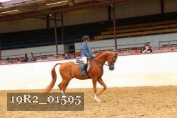 19R2_01595 thumbnail