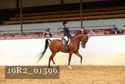 19R2_01596 thumbnail