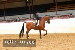 19R2_01599 thumbnail