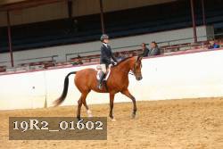 19R2_01602 thumbnail