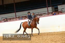 19R2_01605 thumbnail