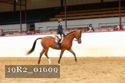 19R2_01609 thumbnail