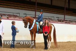 19R2_01615 thumbnail