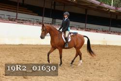 19R2_01630 thumbnail