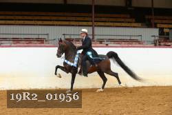 19R2_01956 thumbnail