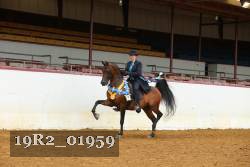19R2_01959 thumbnail