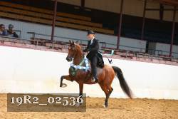 19R2_02536 thumbnail