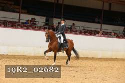 19R2_02682 thumbnail
