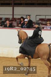 19R2_02745 thumbnail