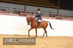19R2_02909 thumbnail