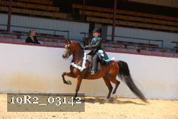 19R2_03142 thumbnail