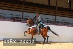 19R2_03250 thumbnail