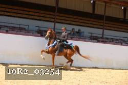 19R2_03254 thumbnail