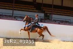 19R2_03255 thumbnail