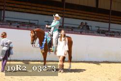 19R2_03273 thumbnail