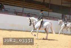 19R2_03351 thumbnail