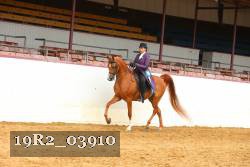19R2_03910 thumbnail