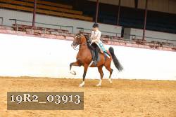 19R2_03913 thumbnail