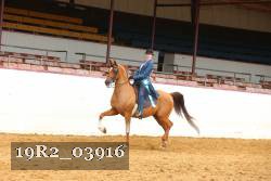 19R2_03916 thumbnail