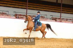 19R2_03918 thumbnail