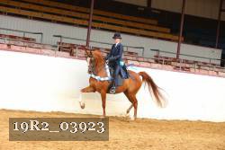 19R2_03923 thumbnail
