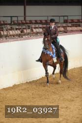 19R2_03927 thumbnail