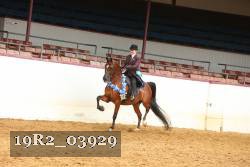 19R2_03929 thumbnail