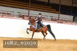19R2_03930 thumbnail