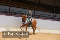 19R2_04440 thumbnail