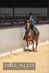 19R2_04529 thumbnail