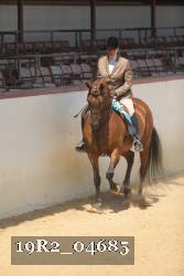 19R2_04685 thumbnail