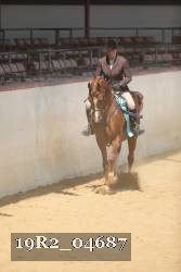 19R2_04687 thumbnail