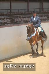 19R2_04692 thumbnail