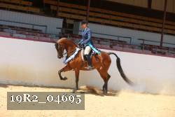 19R2_04695 thumbnail