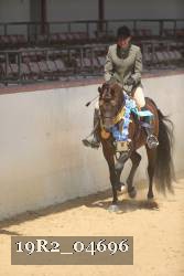 19R2_04696 thumbnail