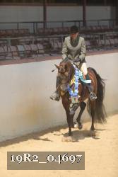 19R2_04697 thumbnail