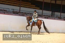 19R2_04698 thumbnail