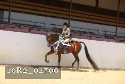 19R2_04700 thumbnail
