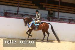 19R2_04701 thumbnail