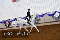 19YN_19583 thumbnail