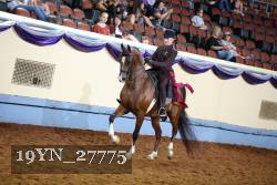 19YN_27775 thumbnail