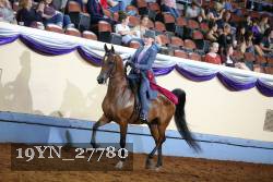 19YN_27780 thumbnail