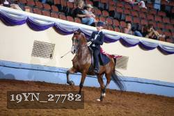 19YN_27782 thumbnail